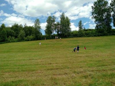 IMG20250625131213.jpg